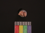 L_V23d4109 A16q856.2 U904 dM uc f313.jpg L_V23d4109 A16q856.2 U904 dM uc f313